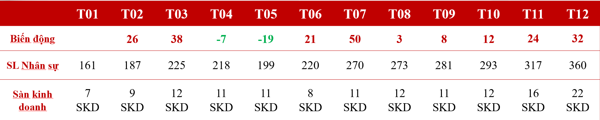 Ảnh: Tổng quan số lượng chuyên viên kinh doanh Bất Động Sản của Sao Việt 2025.